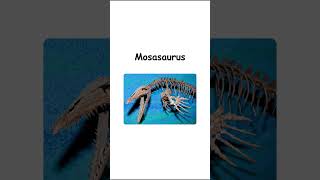 Mosasaurus Explained in 30 Seconds