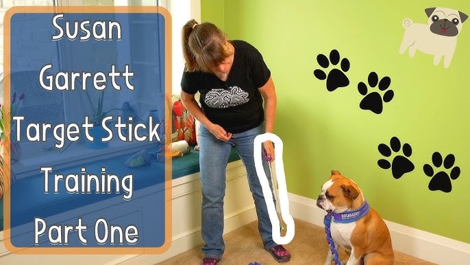 Brandon McMillan Lure Stick dog training tool 