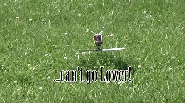 Patrick Mayr - Blade 180 CFX - CAN