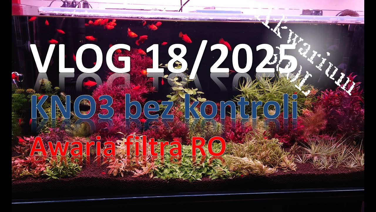VLOG 18/2025 - KNO3 bez kontroli = zielenice plus uszkodzony filtr RO