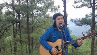Believe In Me - Dan Fogelberg (Live Cover By TOPYU) #pinetrees #acoustic