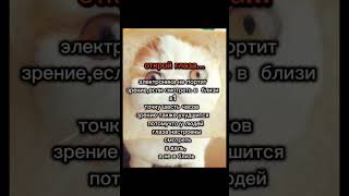 открыла вам глазки)#adoptmeподписка #gacha #залити #gachaclub #гача #моизайки
