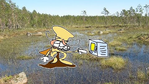 The pizza tower level that appears when you take a crap while reheating a pizza