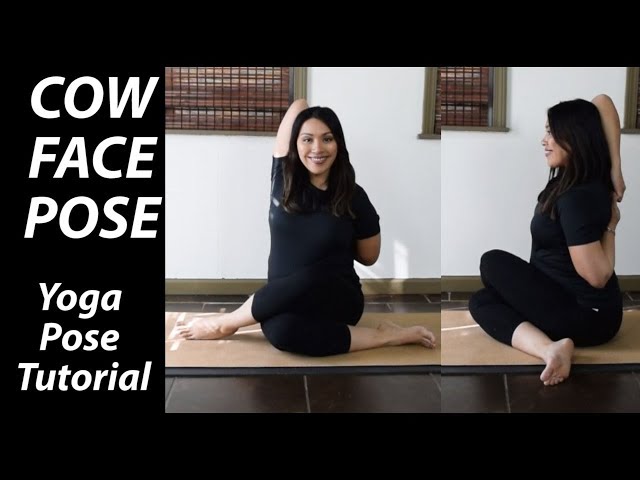 Gomukhasana / Cow Face Pose (Variation) – Take A Break! – Yoga365Days