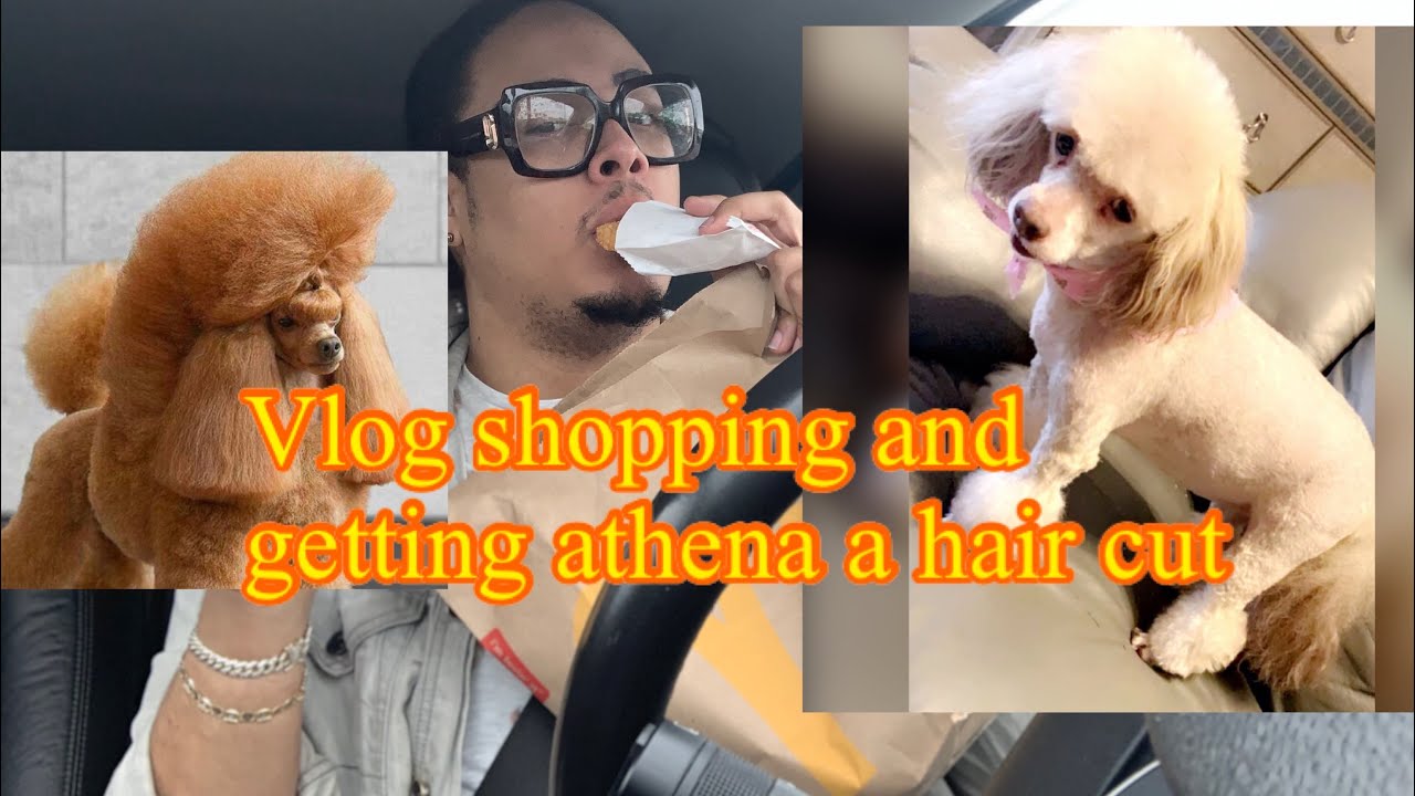 Shopping Vlog Getting My Dog Groomed YouTube Shopping Vlog Getting My Dog Groomed YouTube
