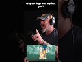 Why do dogs lean against you #dogtalk #podcast