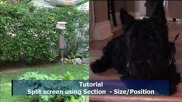 Tutorial 003 Magix Movie Edit Pro - Split screen effect using Section