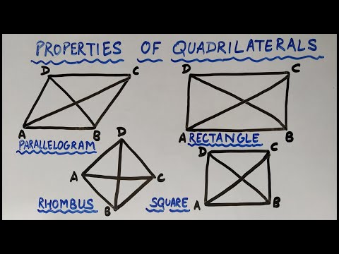 Difference between Parallelogram, Rhombus, Rectangle & Square | Properties of Quadrilaterals