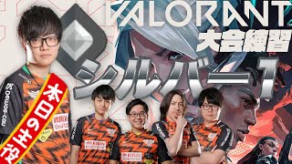 【VALORANT】なんで俺がシルバー１なんだよ！？【ヴァロラント】