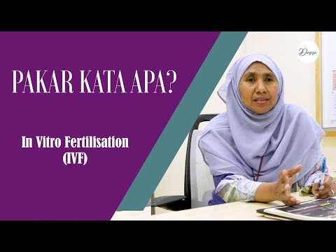 Video: Adakah Perancang Hormon Sebelum Persenyawaan In Vitro (IVF) Memberi Kesan Negatif Kepada Hasil Oosit? Satu Kajian Perintis