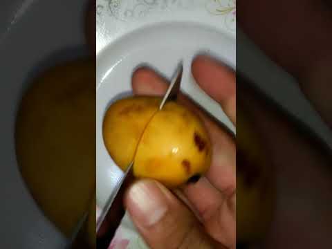 اغلى نوع مانجا واصغر نوع المانجا الفص العويسى