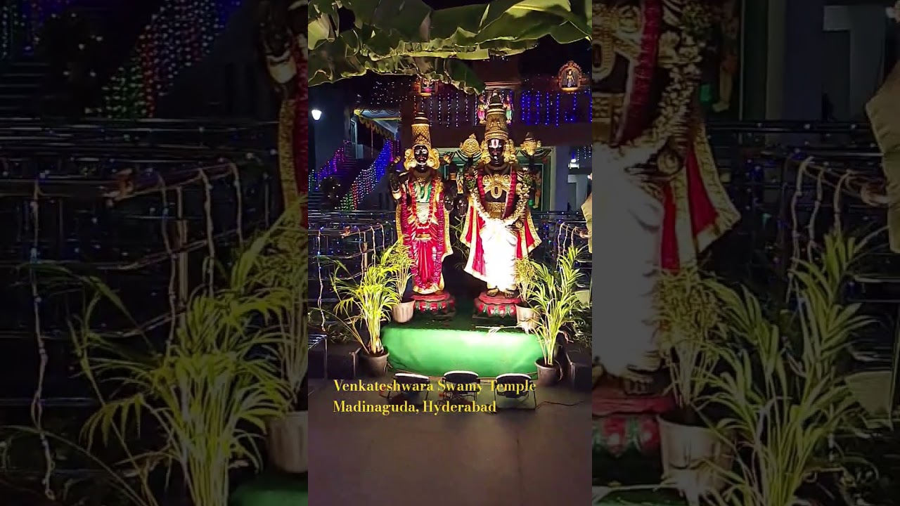 బ్రహ్మోత్సవాలు #బ్రహ్మోత్సవాలు #వెంకటేశ్వరస్వామి #madinaguda #వెంకటేశ్వర #నమో# #venkateswaraswamy