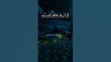 (آمَنَ الرَّسُولُ بِمَا أُنزِلَ إِلَيْهِ) الأية /285/ من سورة البقرة للقارئ #عبد_الباسط_عبد_الصمد
