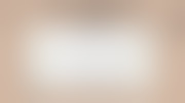 ECO1013 : ELASTICITY