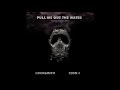 Locksmith & Zion I - "Pull Me Out The Water" f/ Cassandra LaRose