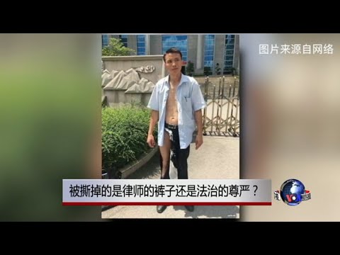 時事大家談：被撕掉的是律師的褲子還是法治的尊嚴？