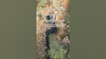 ما تيسر من سورة الحشر بتلاوة الشيخ القارئ محمد صديق المنشاوي #تلاوة_خاشعة #قرآن_كريم #راحة_نفسية