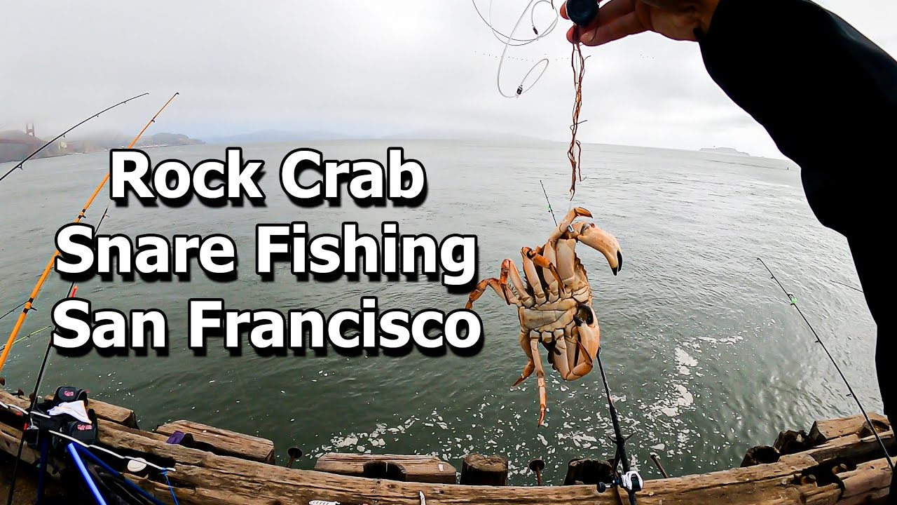 Rock Crab Snare Fishing in the San Francisco Bay 