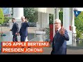 Gaya bos apple tim cook bertemu jokowi di istana