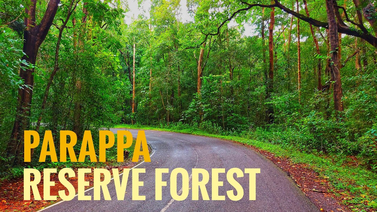 Cherkala jalsoor road | Road trip to Parappa reserve forest