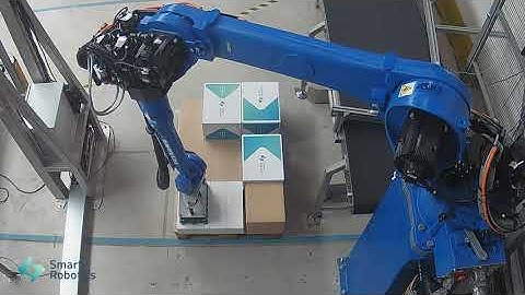 Smart Mixed Case Palletizer