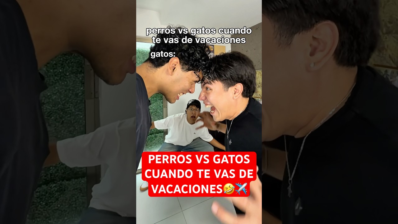 PERROS VS GATOS CUANDO TE VAS DE VACACIONES🤣✈️