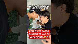 PERROS VS GATOS CUANDO TE VAS DE VACACIONES🤣✈️