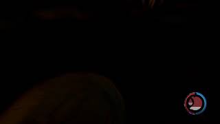 We crashed our plane