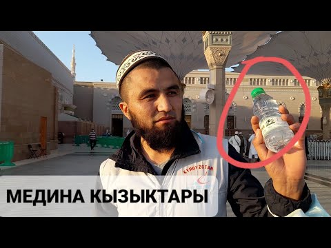 Video: Уюмдарда алдамчылыкты аныктоонун эң кеңири таралган ыкмасы кайсы?