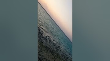 أجمل تلاوة رائعة جميلة🍂حالات واتساب مقاطع دينية قصيرة#تلاوات_خاشعة 🍀#قران_كريم💫