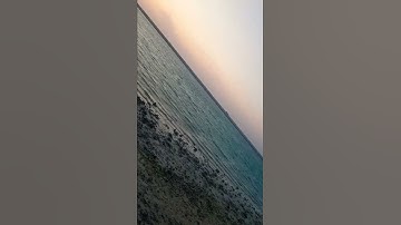 أجمل تلاوة رائعة جميلة🍂حالات واتساب مقاطع دينية قصيرة#تلاوات_خاشعة 🍀#قران_كريم💫