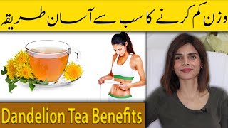 Lose Weight Through Dandelion Tea | Health Benefits of Dandelion Tea