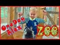 Страна ЕнотиЯ контактный зоопарк в Арт Молл Walking in the zoo