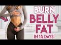Burn belly fat in 14 days pilates abs  deep core  30 min workout