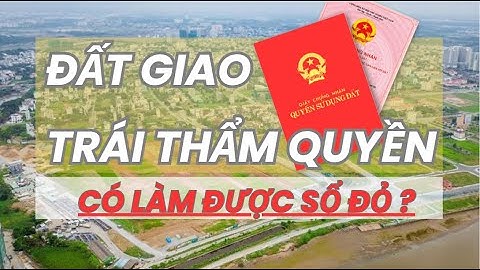 ĐẤT GIAO TRÁI THẨM QUYỀN - CƠ HỘI được cấp sổ đỏ | ĐIỀU 140 - LUẬT ĐẤT ĐAI 2024