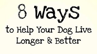 8 Tips For A Healthier Dog - The Buzby Dog Podcast