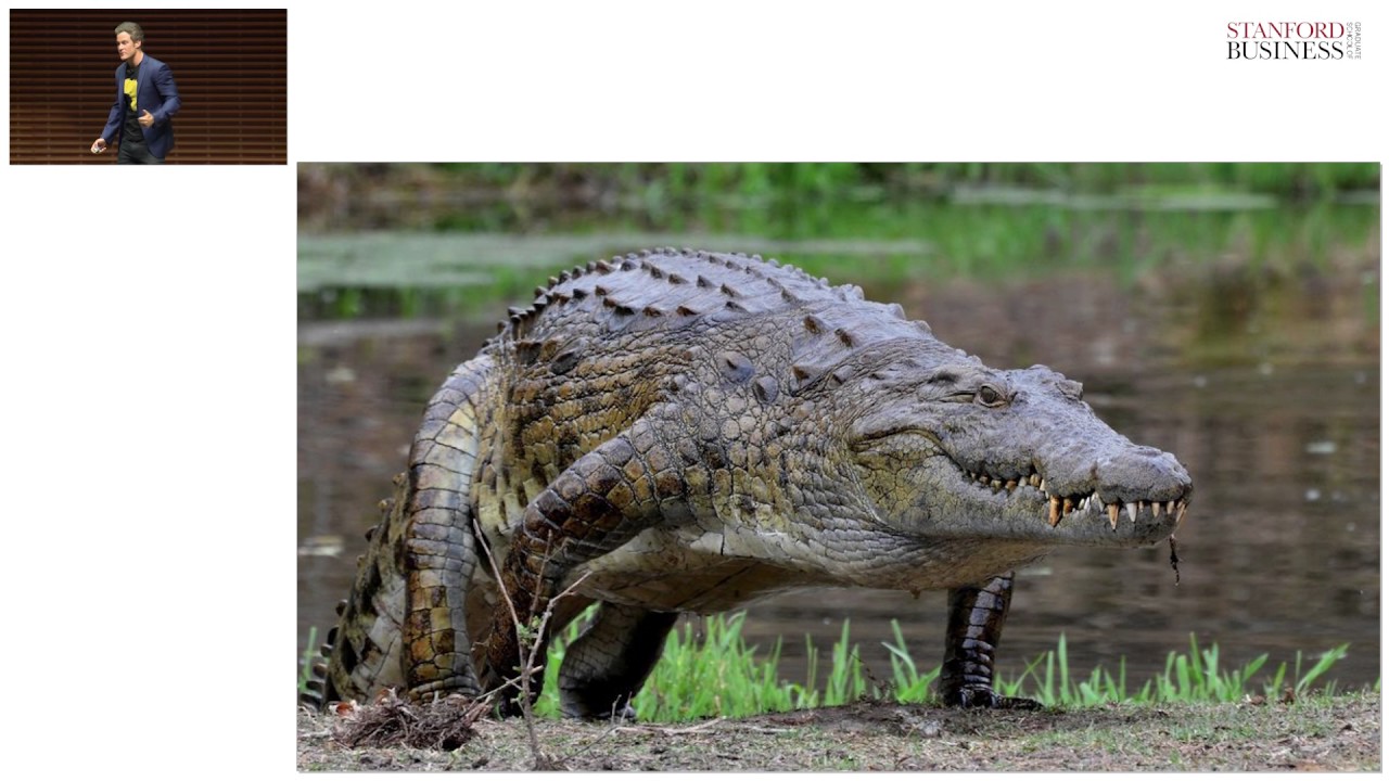 Matthew Cooke: The Trophy Hunter's Paradox