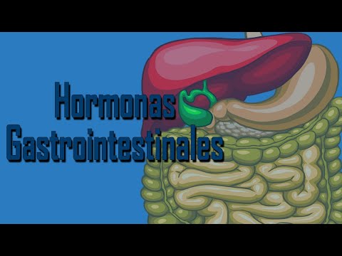 Vídeo: SII Y Su Período, Fluctuaciones Hormonales Y Función Gastrointestinal