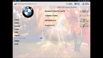 Reading BMW ews4 EPROM 2L86D using MDP XEP100