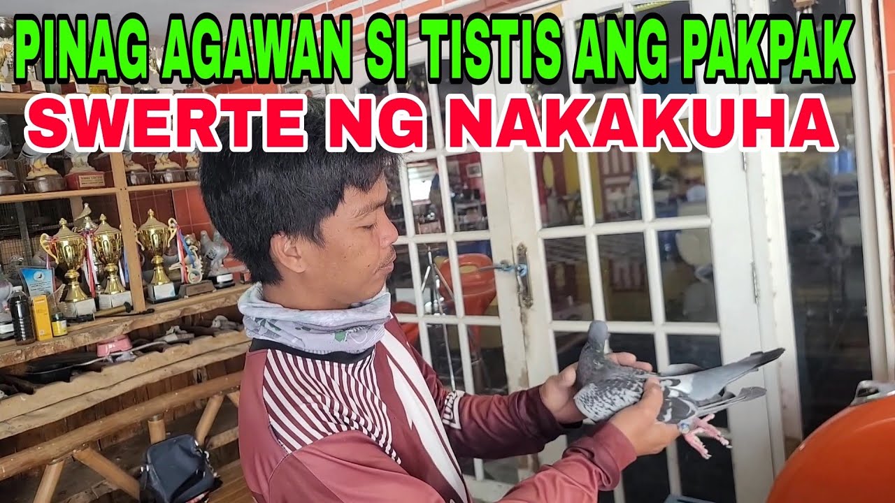NAKABALIK ANG IBON NATIN GALING NG NAGA CITY / SALAMAT SA LAHAT NG NAGTIWALA SA MGA BLOODLINE NATIN