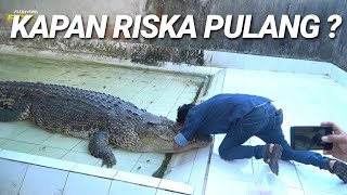 SEKELAS PEJABAT,TERBAIKAN BUAYA RISKA TIDAK ADA KABAR ,KEMBALIKAN RISKA ?