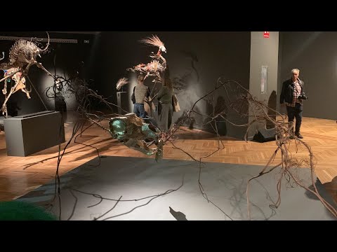 Especies mensajeras: arte para reflexionar sobre naturaleza y contaminación