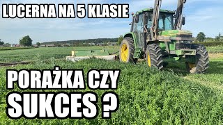 JAK NAPRAWDĘ WYGLĄDA LUCERNA W PIERWSZYM ROKU ?