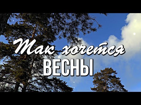 Доброе утро! Так хочется Весны