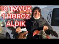 ANNEM İLE TAVUK 🐔 VE HOROZ 🐓 ALDIK 😍