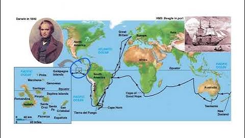 How Populations Evolve 13.1-13.7