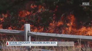 Burn bans implanted throughout NWLA