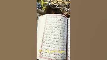 #المصحف #اكسبلور #تلاوة_خاشعة #روقان_صباحي #اقتباسات #سورة النمل#لايك