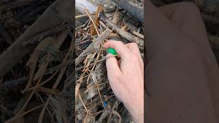 Superball Greeny Meany