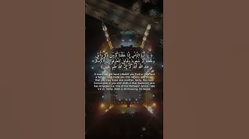 تلاوة خاشعة | سورة الحجرات 13 | تريح القلب 🎧